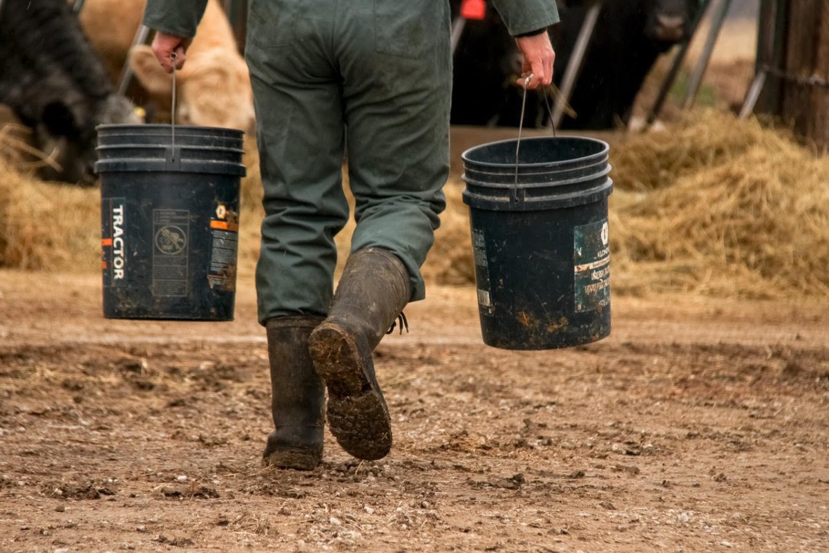 Thinking of Counselling? Here’s What you Need to Know