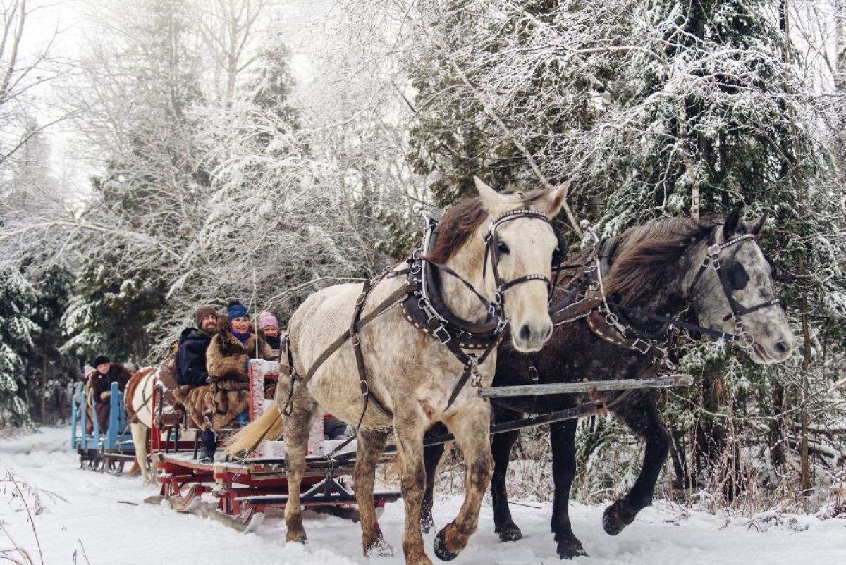 More Sleigh Bells, Less Cow Bells: Preparing for Christmas